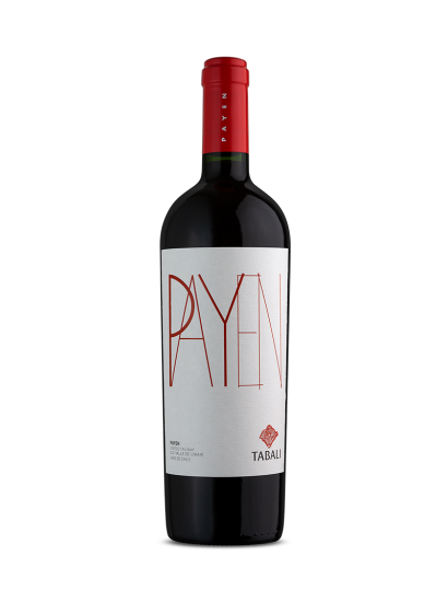 Tabali Payen - Elegancia y Mineralidad del Viñedo Talinay en el Valle de Limarí