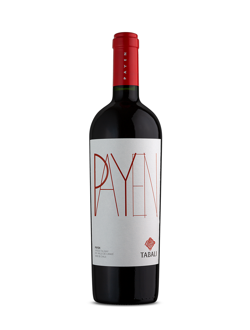 Tabali Payen - Elegancia y Mineralidad del Viñedo Talinay en el Valle de Limarí