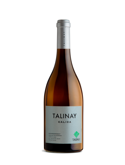 Tabali Talinay Caliza - Un Vino con Precisión, Mineralidad y Verticalidad
