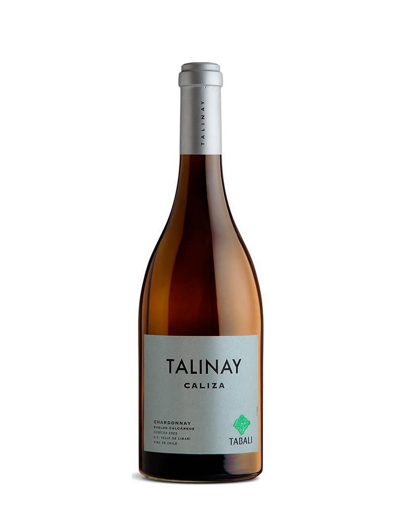 Tabali Talinay Caliza - Un Vino con Precisión, Mineralidad y Verticalidad Tabali Talinay Caliza - Un Vino con Precisión, Mineralidad y Verticalidad